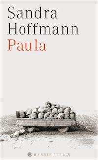 Paula - Sandra Hoffmann - E-Book
