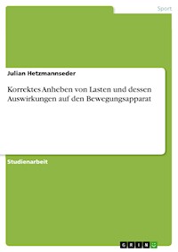 Korrektes Anheben von Lasten und dessen Auswirkungen auf den Bewegungsapparat - Julian Hetzmannseder - E-Book