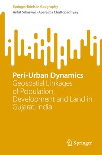 Peri-Urban Dynamics - Ankit Sikarwar - E-Book