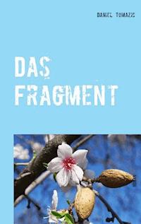 Das Fragment - Daniel Tomazic - E-Book