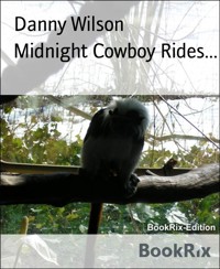 Midnight Cowboy Rides... - Danny Wilson - E-Book