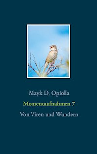 Momentaufnahmen 7 - Mayk D. Opiolla - E-Book