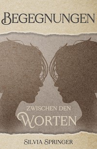 Begegnungen zwischen den Worten - Silvia Springer - E-Book