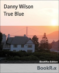 True Blue - Danny Wilson - E-Book