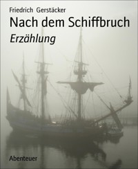 Nach dem Schiffbruch - Friedrich Gerstäcker - E-Book