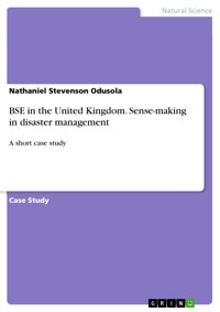 BSE in the United Kingdom. Sense-making in disaster management - Nathaniel Stevenson Odusola - E-Book