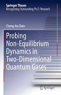 Probing Non-Equilibrium Dynamics in Two-Dimensional Quantum Gases - Cheng-An Chen - E-Book