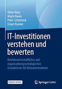 IT-Investitionen verstehen und bewerten - Oliver Marz - E-Book