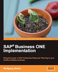 SAP Business ONE Implementation - Wolfgang Niefert - E-Book