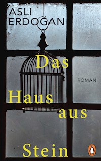 Das Haus aus Stein - Aslı Erdoğan - E-Book