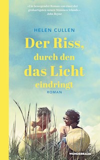 Der Riss, durch den das Licht eindringt - Helen Cullen - E-Book