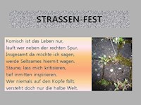Straßen-Fest - Irene Steinbach - E-Book