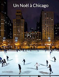 Un Noël à Chicago - Sylvia Richard - E-Book