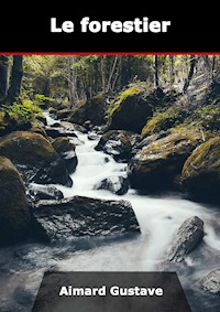 Le forestier - Aimard Gustave - E-Book