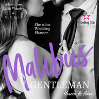 Malibus Gentlemen: Hannah & Adam - Malibus Summer Feelings, Band 1 (ungekürzt) - Emily Key - Hörbuch