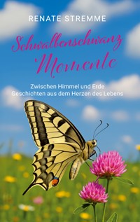 Schwalbenschwanz Momente - Renate Stremme - E-Book