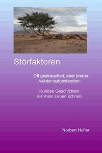 Störfaktoren - Norbert Hufler - E-Book