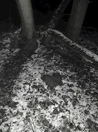 Der Plan - Bianca Hirtreiter - E-Book