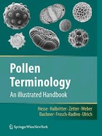 Pollen Terminology - Michael Hesse - E-Book