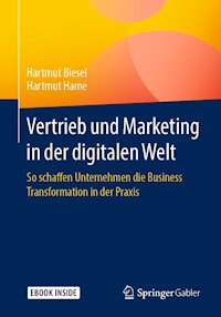 Vertrieb und Marketing in der digitalen Welt - Hartmut Biesel - E-Book