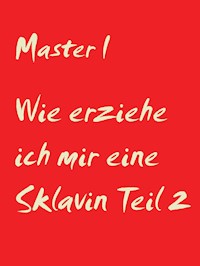 Wie erziehe ich mir eine Sklavin Teil 2 - Master I - E-Book