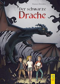 Der schwarze Drache - Hannes Hörndler - E-Book