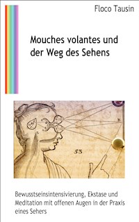 Mouches volantes und der Weg des Sehens - Floco Tausin - E-Book