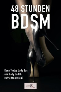 48 Stunden BDSM - Lady Sas - E-Book