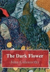 The Dark Flower - John Galsworthy - E-Book