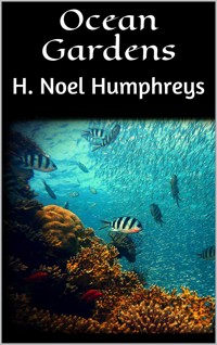 Ocean Gardens - H. Noel Humphreys - E-Book