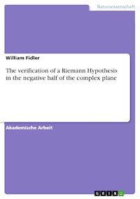 The verification of a Riemann Hypothesis in the negative half of the complex plane - William Fidler - E-Book