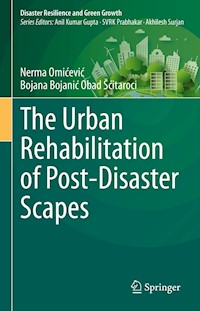 The Urban Rehabilitation of Post-Disaster Scapes - Nerma Omićević - E-Book