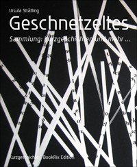 Geschnetzeltes - Ursula Strätling - E-Book