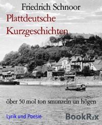 Plattdeutsche Kurzgeschichten - Friedrich Schnoor - E-Book