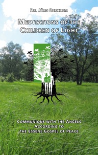 Meditations of the Children of Light - Jörg Berchem - E-Book
