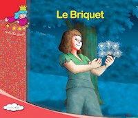 Le briquet - Collectif - E-Book