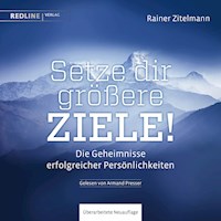Setze dir größere Ziele! - Rainer Zitelmann - Hörbuch