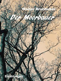 Der Moorbauer - Walter Brunhuber - E-Book