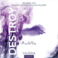 DESTROY the silent lies (DESTROY-Reihe 2) - Aileen Dawe - Hörbuch