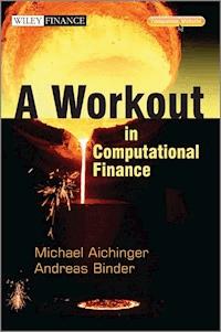 A Workout in Computational Finance - Andreas Binder - E-Book