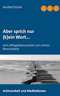 Aber sprich nur (k)ein Wort... - Norbert Kürlis - E-Book