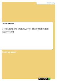 Measuring the Inclusivity of Entrepreneurial Ecosystem - Julia Petker - E-Book