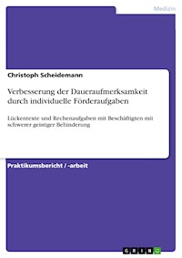 Verbesserung der Daueraufmerksamkeit durch individuelle Förderaufgaben - Christoph Scheidemann - E-Book