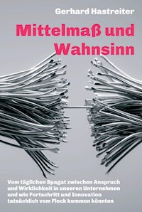 Mittelmaß und Wahnsinn - Gerhard Hastreiter - E-Book