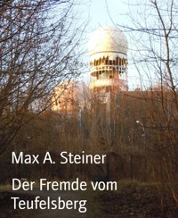 Der Fremde vom Teufelsberg - Max A. Steiner - E-Book