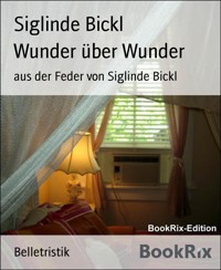 Wunder über Wunder - Siglinde Bickl - E-Book