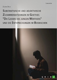 Substantivische und adjektivische Zusammensetzungen in Goethes "Die Leiden des jungen Werthers" und die Entsprechungen im Bosnischen - Zlatan Delic - E-Book