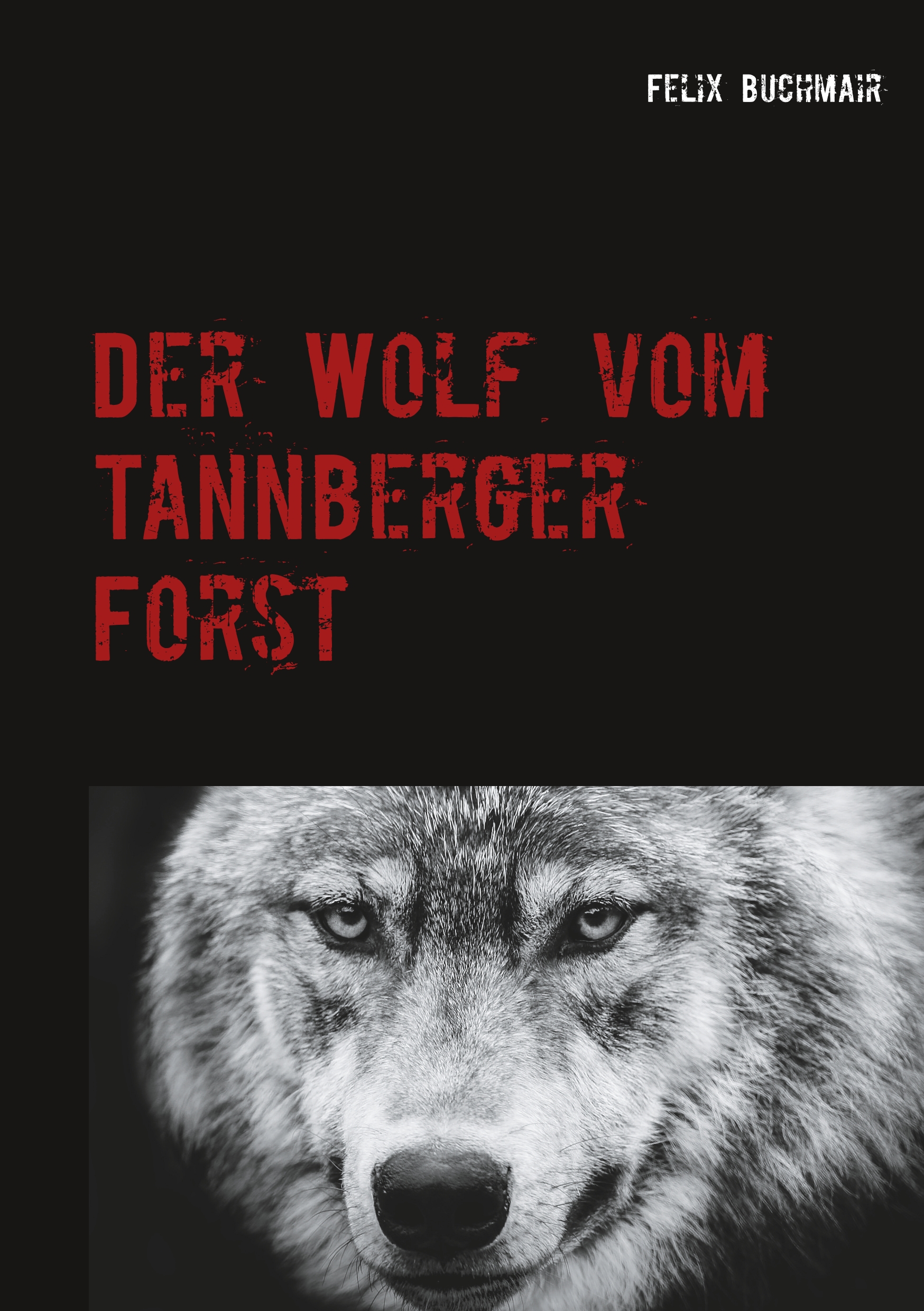 Der Wolf vom Tannberger Forst - Felix Buchmair - E-Book