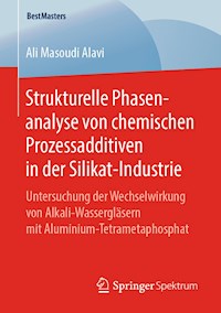 Strukturelle Phasenanalyse von chemischen Prozessadditiven in der Silikat-Industrie - Ali Masoudi Alavi - E-Book
