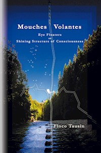 Mouches Volantes - Floco Tausin - E-Book